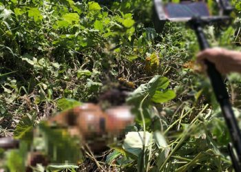 Se decompondo, corpo de homem é achado em matagal da Sharp