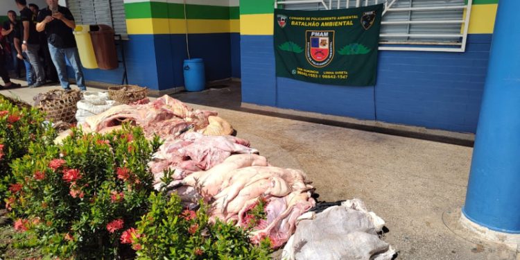 Batalhão Ambiental apreende 781 kg de carne de animais silvestre em feira em Coari