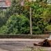 Assassinos levam vítima pela mão e disparam 12 vezes à queima-roupa em Manaus