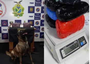 Base Arpão apreende drogas avaliadas em mais de R$ 243 mil em Coari