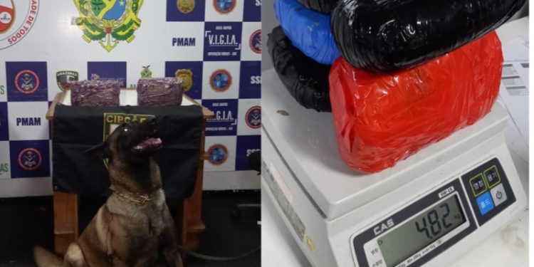 Base Arpão apreende drogas avaliadas em mais de R$ 243 mil em Coari