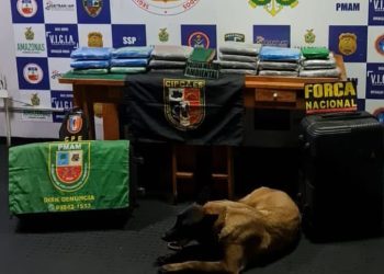 Cão da Base Arpão fareja meio milhão em drogas dentro de barco em Coari