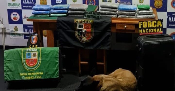 Cão da Base Arpão fareja meio milhão em drogas dentro de barco em Coari