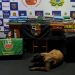 Cão da Base Arpão fareja meio milhão em drogas dentro de barco em Coari