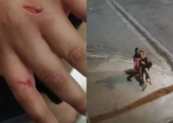 Garoto improvisa sobrinha para melhor amigo se proteger do sol escaldante