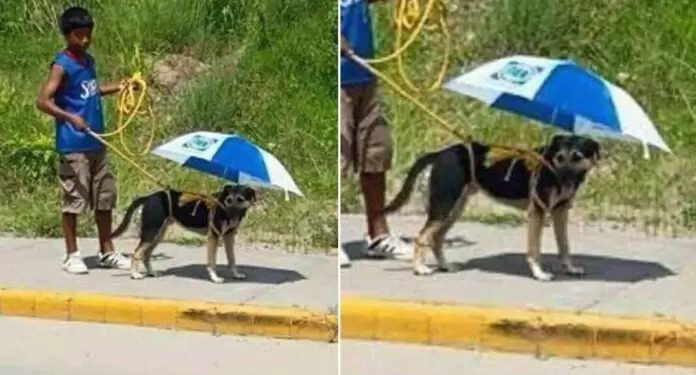 Garoto improvisa sobrinha para melhor amigo se proteger do sol escaldante