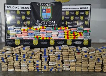 Polícia encontra 271 tabletes de maconha e dona da casa na Compensa não sabe quem deixou lá