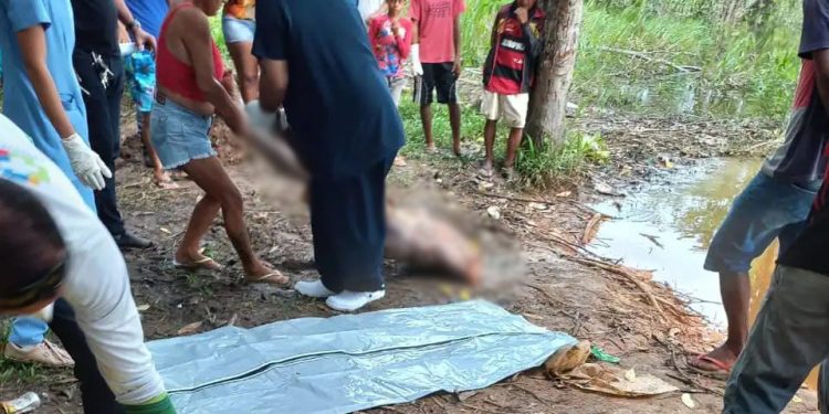 Decapitado e com tripas expostas, cadáver é encontrado em igarapé; cenas fortes