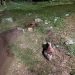 Homem tem cabeça esmagada com bloco de concreto: “Jack é sal”, veja imagens