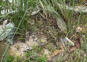 Corpo amarrado com fio elétrico é encontrado no Distrito Industrial