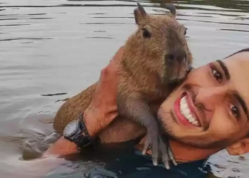 Filó pode ser resgatada novamente pelo Ibama e desta vez mandá-la para o Cigs