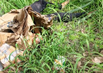 Amarrado e com nove tiros pelo corpo, homem é mais um assassinado em Manaus neste domingo