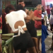 Disputando o mesmo ‘feio e liso’, mulheres se acabam na porrada na frente de bar no Cacau Pirêra; vídeos