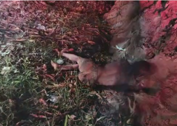 Morto a facadas e pauladas corpo é jogado em igarapé da zona Leste; veja imagem