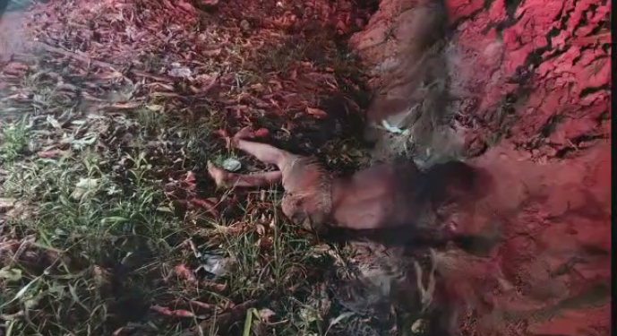 Morto a facadas e pauladas corpo é jogado em igarapé da zona Leste; veja imagem