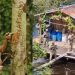 Pousada em Novo Airão é reportagem do Fantástico por ser ponto de exploração sexual