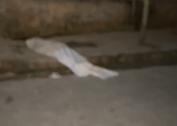 Vídeo: Homem é abordado na comunidade Cidade Alta e morre com tiros na nuca