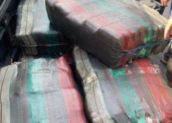 Operação Ágata resulta em R$ 22 milhões de drogas apreendidas no Amazonas