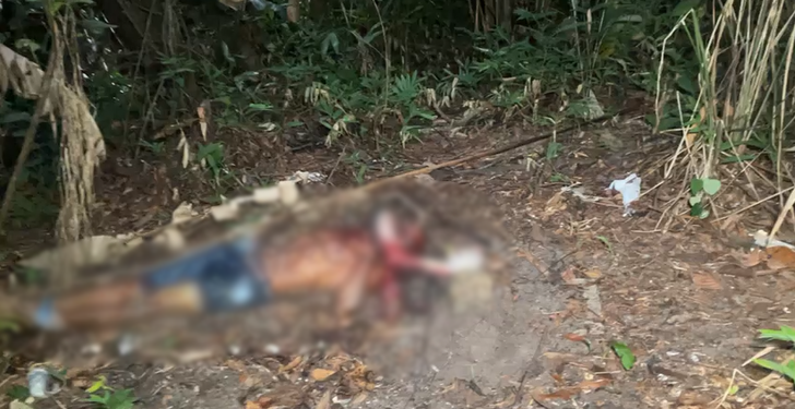 Torturado e amordaçado corpo é encontrado em terreno abandonado; imagens fortes