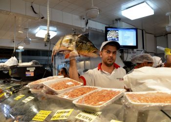 Seis cidades do Amazonas consomem peixe contaminado com mercúrio, aponta Fiocruz