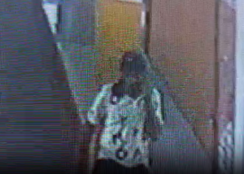 Vídeo: Lalau da Feira da Compensa é procurado por furtos na surdina no local