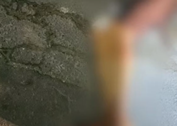 Homem é cercado por dupla e executado com vários tiros em Manaus