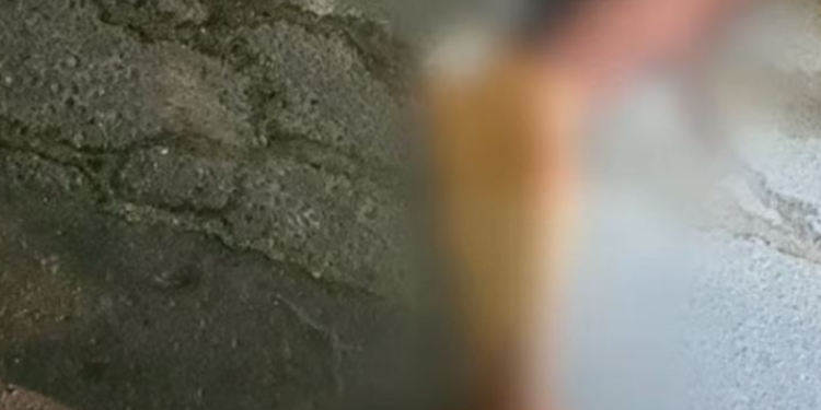 Homem é cercado por dupla e executado com vários tiros em Manaus