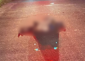 Caseiro escuta tiros e encontra corpo de homem pipocado com seis disparos em Manaus