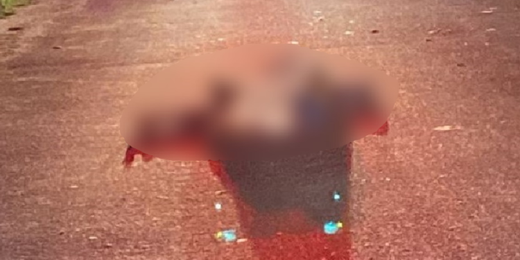 Caseiro escuta tiros e encontra corpo de homem pipocado com seis disparos em Manaus