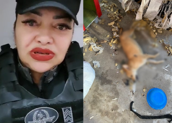 Vídeo: No Nova Cidade, PM diz que vizinhos envenenaram cachorros por causa dos latidos: ‘Mataram os seis’