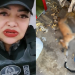 Vídeo: No Nova Cidade, PM diz que vizinhos envenenaram cachorros por causa dos latidos: ‘Mataram os seis’