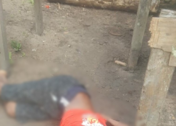 Cena muito forte: homem é encontrado decapitado e criminosos levam a cabeça