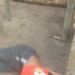 Cena muito forte: homem é encontrado decapitado e criminosos levam a cabeça