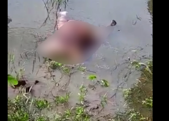 Vídeo: Com perfuração nas costas, corpo encontrado no Careiro pode ser de vulgo ‘Bacuque’