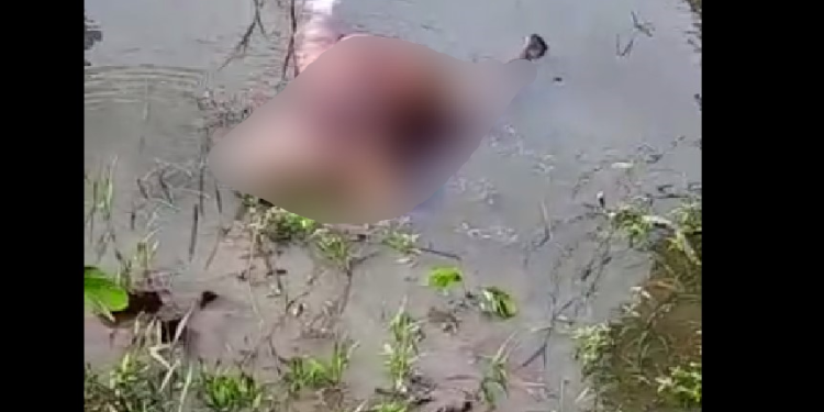 Vídeo: Com perfuração nas costas, corpo encontrado no Careiro pode ser de vulgo ‘Bacuque’