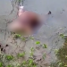 Vídeo: Com perfuração nas costas, corpo encontrado no Careiro pode ser de vulgo ‘Bacuque’