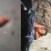 Vídeo: Homem tem a mão e orelha decepados após ser atacado em mercadinho em Manaus