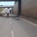 Vídeo: fugitivo da polícia se joga de viaduto para não se preso