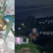 Moradores encontram granada e se desesperam com facções trocando tiros em Manaus; veja