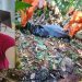 Esposa de garimpeiro assassinado é encontrada morta em Terra Yanomami