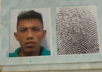 Funcionárias de petshop são filmadas agredindo cadela até a morte