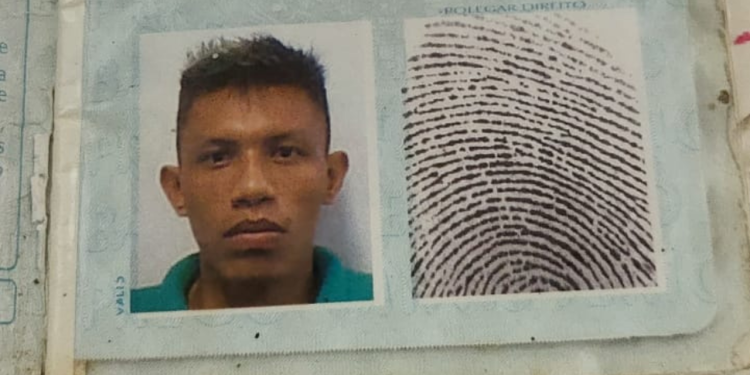Funcionárias de petshop são filmadas agredindo cadela até a morte