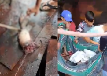 Bandido assalta mulheres e faz a limpa em loja; assista