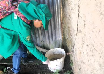 Jutaí, Tonantins, Ipixuna e Tefé são os municípios mais afetados pela dengue