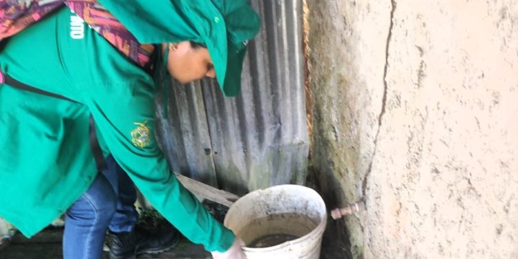 Jutaí, Tonantins, Ipixuna e Tefé são os municípios mais afetados pela dengue