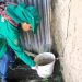 Jutaí, Tonantins, Ipixuna e Tefé são os municípios mais afetados pela dengue