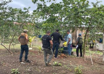 Operação Centrífuga prende quadrilha de traficantes em Manacapuru