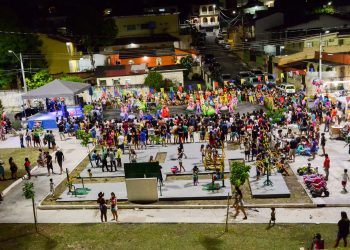 Brasileiro de 17 anos é o 2º da história a ganhar Prêmio Weizmann ao criar repelente com fruto amazônico