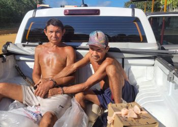 Brasileiro de 17 anos é o 2º da história a ganhar Prêmio Weizmann ao criar repelente com fruto amazônico