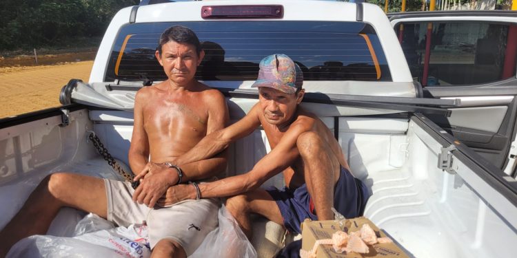 Brasileiro de 17 anos é o 2º da história a ganhar Prêmio Weizmann ao criar repelente com fruto amazônico